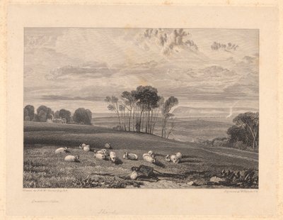 Crowhurst, Sussex alkotó: William Bernard Cooke