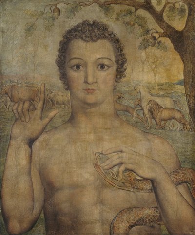 Ádám, aki elnevezi a vadállatokat alkotó: William Blake