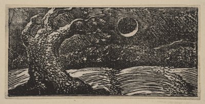 Robbantott fák és lapított termések, a Thorntons Pastorals of Vergil-ből, 1821. alkotó: William Blake