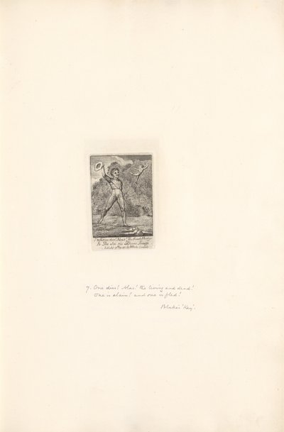 A nemek számára – A Paradicsom Kapuja, 9. tábla, Jaj! alkotó: William Blake