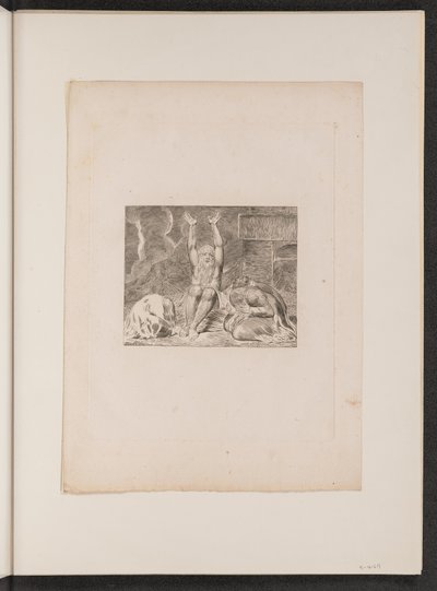 Jób kétségbeesése, 1825. alkotó: William Blake