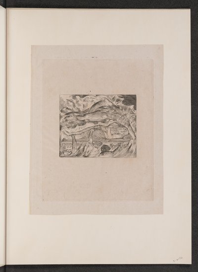 Job gonosz álmai alkotó: William Blake