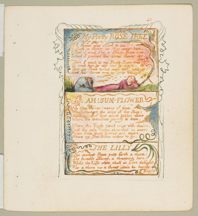Az ártatlanság és az élmény dalai: Az én szép rózsafám, ah! Napvirág, Liliom, kb. 1825. alkotó: William Blake