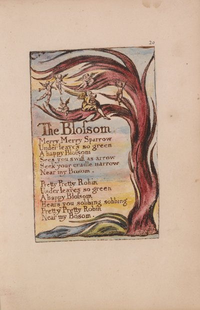 Az ártatlanság és a tapasztalat dalai, 20. lemez, A virág (Bentley 11) alkotó: William Blake