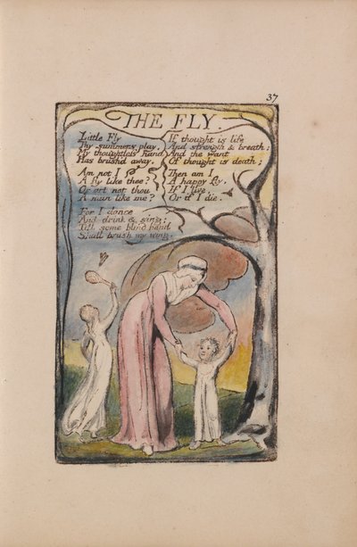Az ártatlanság és a tapasztalat dalai, 37. lemez, A légy (Bentley 40) alkotó: William Blake