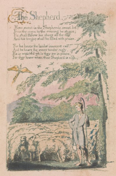 Songs of Inocence and of Experience, 4. tábla, "The Shepherd" (Bentley 5) alkotó: William Blake