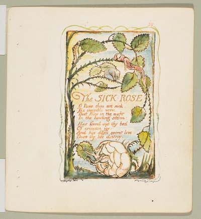 Az ártatlanság és az élmény dalai: A beteg rózsa, kb. 1825. alkotó: William Blake