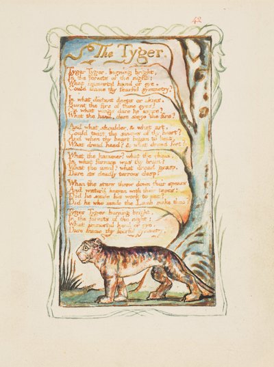 Dalok az ártatlanságról és az élményről: The Tyger, 1825 körül (barna tintával, kézzel festett vízfestékkel) alkotó: William Blake