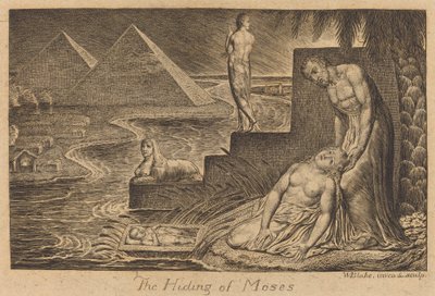 Mózes elrejtése alkotó: William Blake