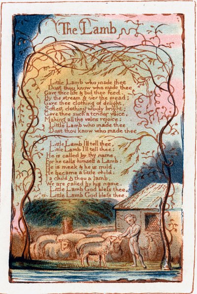 A bárány, illusztráció az ártatlanság és tapasztalat énekeiből. c1770-1820 alkotó: William Blake