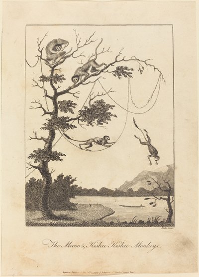 The Mecoo & Kisbee Kishee Monkeys, 1793. alkotó: William Blake