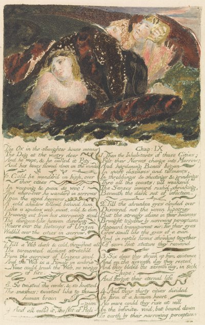 „Az ökör a vágóhídon nyög...”, „The First Book of Urizen” 23. tábla alkotó: William Blake