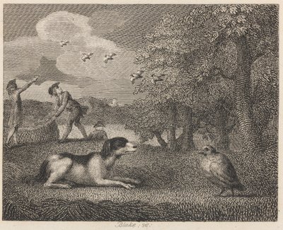 A Setting-kutya és a Partridge alkotó: William Blake