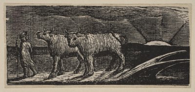 Unyokd Heifers, Loitering Homeward, a Thorntons Pastorals of Vergilből, 1821. alkotó: William Blake