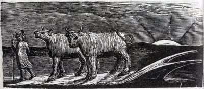 Hazafelé vánszorgó, nyakigláb üszők, illusztráció Dr. Thornton "The Pastorals of Virgil" című művéből. alkotó: William Blake