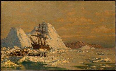 Egy eset a bálnavadászatból alkotó: William Bradford