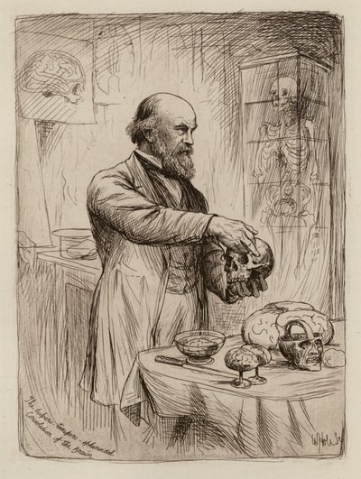 William Turner, az anatómia professzora (metszet) alkotó: William Brassey (after) Hole