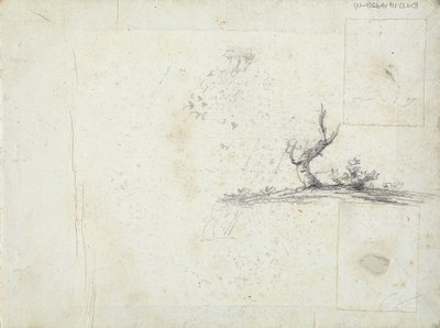belső borító: fa vázlata (fordított) alkotó: William Brockedon