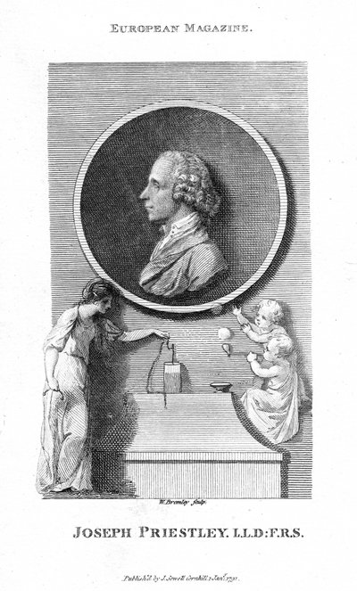 Joseph Priestley angol kémikus és presbiteri lelkész, 1791 alkotó: William Bromley