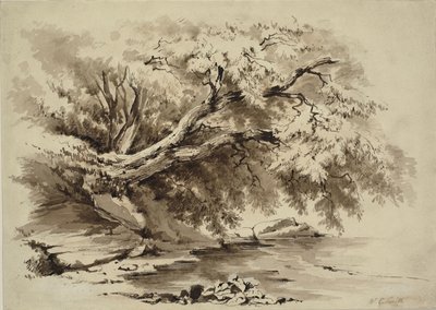 Táj a tó fölé nyúló fákkal alkotó: William Collingwood Smith