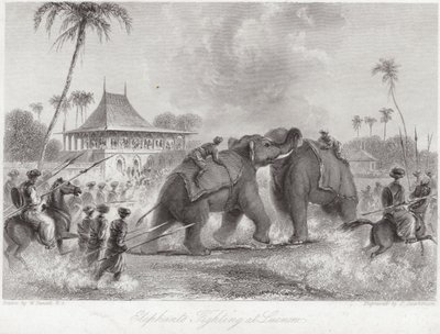 Elefántok harcolnak Lucknowban alkotó: William Daniell