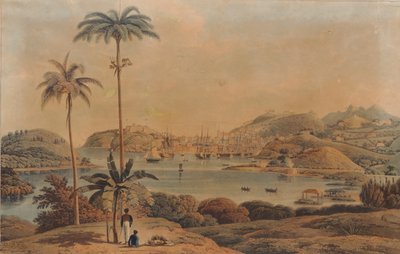 St. George és Richmond Heights városának kilátása Grenada szigetén, Wilson alezredes által az öbölből, 1819 alkotó: William Daniell