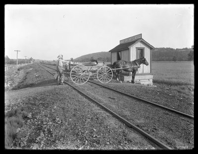 Ismeretlen férfi tejet rakod a McCready farmon kívül a vasúti síneken parkoló lovas kocsira, Pennsylvania, 1913 körül. alkotó: William Davis Hassler