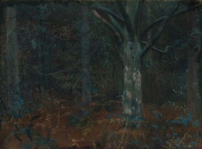 Öreg platán alkotó: William Edward Stott
