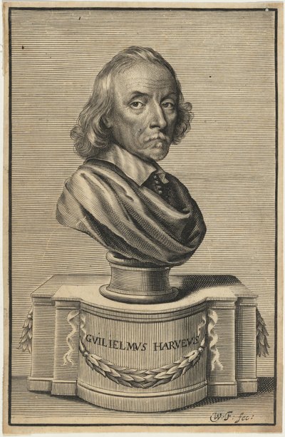 William Harvey, M.D. alkotó: William Faithorne