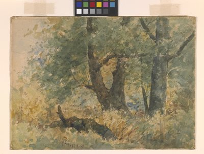 Erdei táj (akvarell) alkotó: William Forsyth