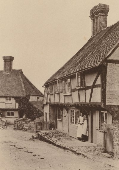 Byworth-ben, Petworth közelében, Sussex (fekete-fehér fotó) alkotó: William Galsworthy Davie