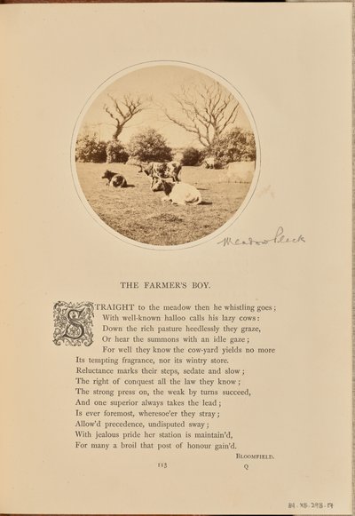 [Pásztorjelenet mezőn pihenő szarvasmarhákkal, Anglia] alkotó: William Grundy