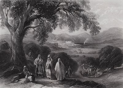 Názáreti völgye (metszet) alkotó: William H. Bartlett
