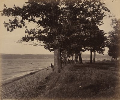 Cayuga-tó, Sheldrake alkotó: William H. Rau