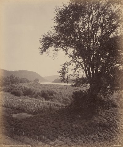 Festői Susquehanna, Laceyville közelében alkotó: William H. Rau