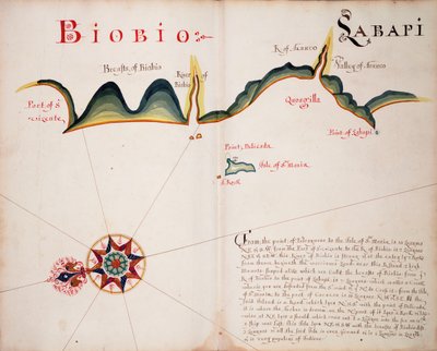 Biobio [és] Labapi alkotó: William Hack