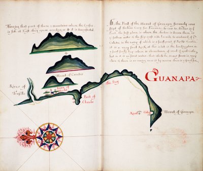 Guanapa alkotó: William Hack