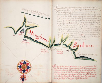 Manglares, Ancon de Sardinas-öböl alkotó: William Hack