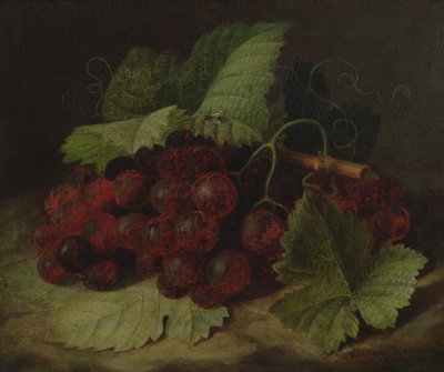 A szőlő csendélete alkotó: William Hammer