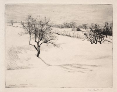 A domboldali farm alkotó: William Harry Warren Bicknell