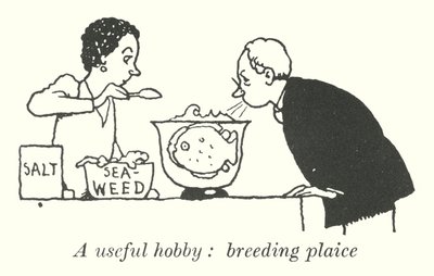 Hasznos hobbi, sima lepényhal (litho) alkotó: William Heath Robinson