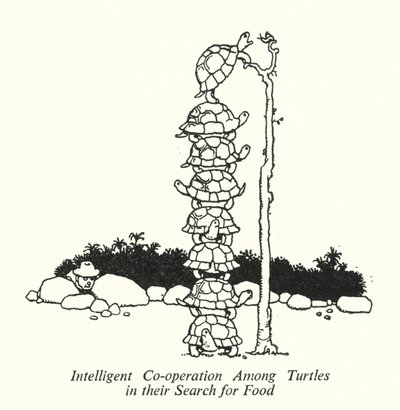 Intelligens együttműködés a teknősök között táplálékkeresésük során (litho) alkotó: William Heath Robinson