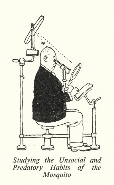 A szúnyog társadalmi és ragadozó szokásainak tanulmányozása (litho) alkotó: William Heath Robinson