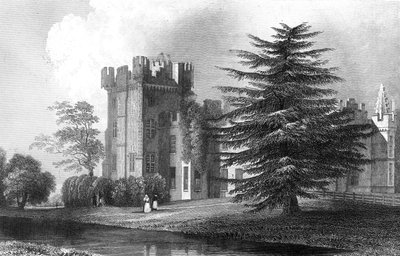 Faulkbourne Hall, Witham közelében, Essexben, metszett Henry Wallis, 1832 alkotó: William Henry Bartlett