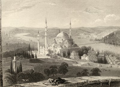 Mecset és Szulejmán sírja, a Seraskier-toronyból, Isztambul, Törökország, metszett H. Adlard alkotó: William Henry Bartlett