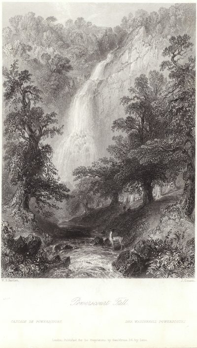 Powerscourt vízesés a Dargle folyón alkotó: William Henry Bartlett