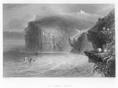 St Bees Head alkotó: William Henry Bartlett