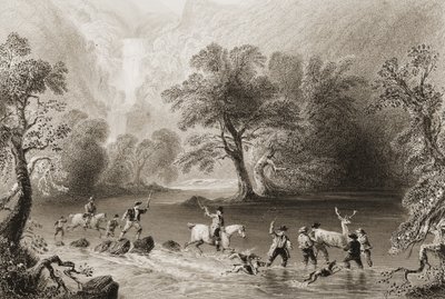 Szarvasbogár felvétele Derrycunnihy Cascade közelében, Kerry megyében, Írországban, George Virtue „Scenery and Antiquities of Ireland” című művéből, 1860-as évek (metszet) alkotó: William Henry Bartlett