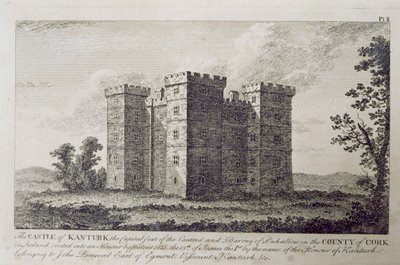 Kanturk kastélya, Cork megye, Írország az 1800-as években, George Virtue „Írország tájai és régiségei” című művéből alkotó: William Henry Bartlett
