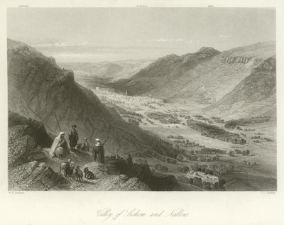 Szichem és Nablus völgye, Palesztina alkotó: William Henry Bartlett